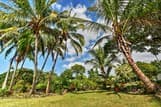 Breezy Kailua-Kona Bungalow w/ Lanai & Ocean View!